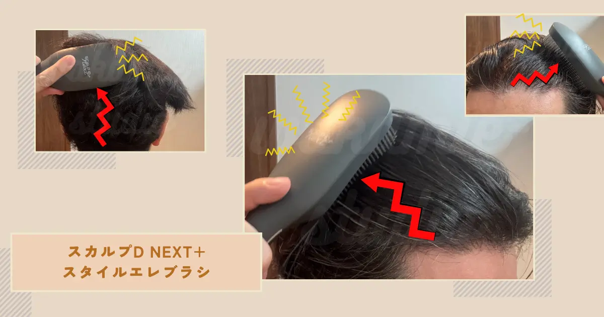 スカルプＤ ネクストプラス　スタイルエレブラシ アンファースカルプD公式通販 | 予防医学のアンファーストア